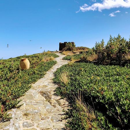 Isla Privada En Cadaques De Ensueno Con 11 Habitaciones Dobles Con Bano Privado Y Piscina المظهر الخارجي الصورة
