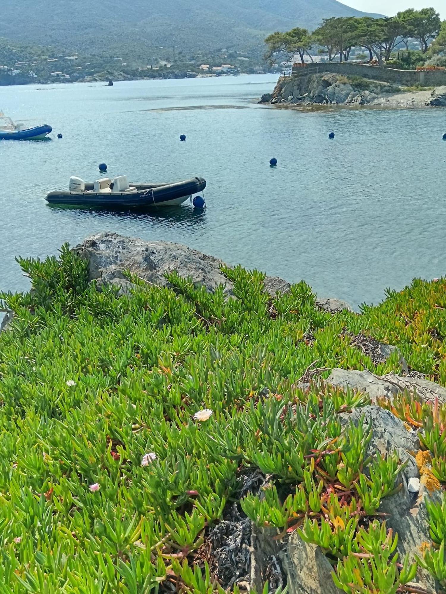 Isla Privada En Cadaques De Ensueno Con 11 Habitaciones Dobles Con Bano Privado Y Piscina المظهر الخارجي الصورة