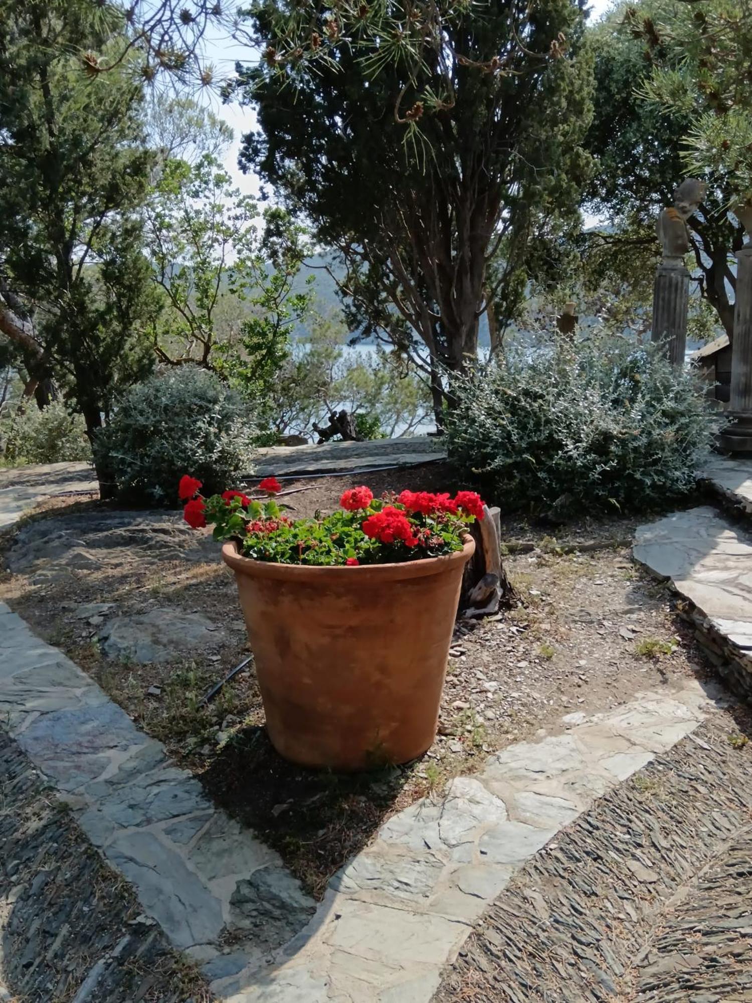 Isla Privada En Cadaques De Ensueno Con 11 Habitaciones Dobles Con Bano Privado Y Piscina المظهر الخارجي الصورة