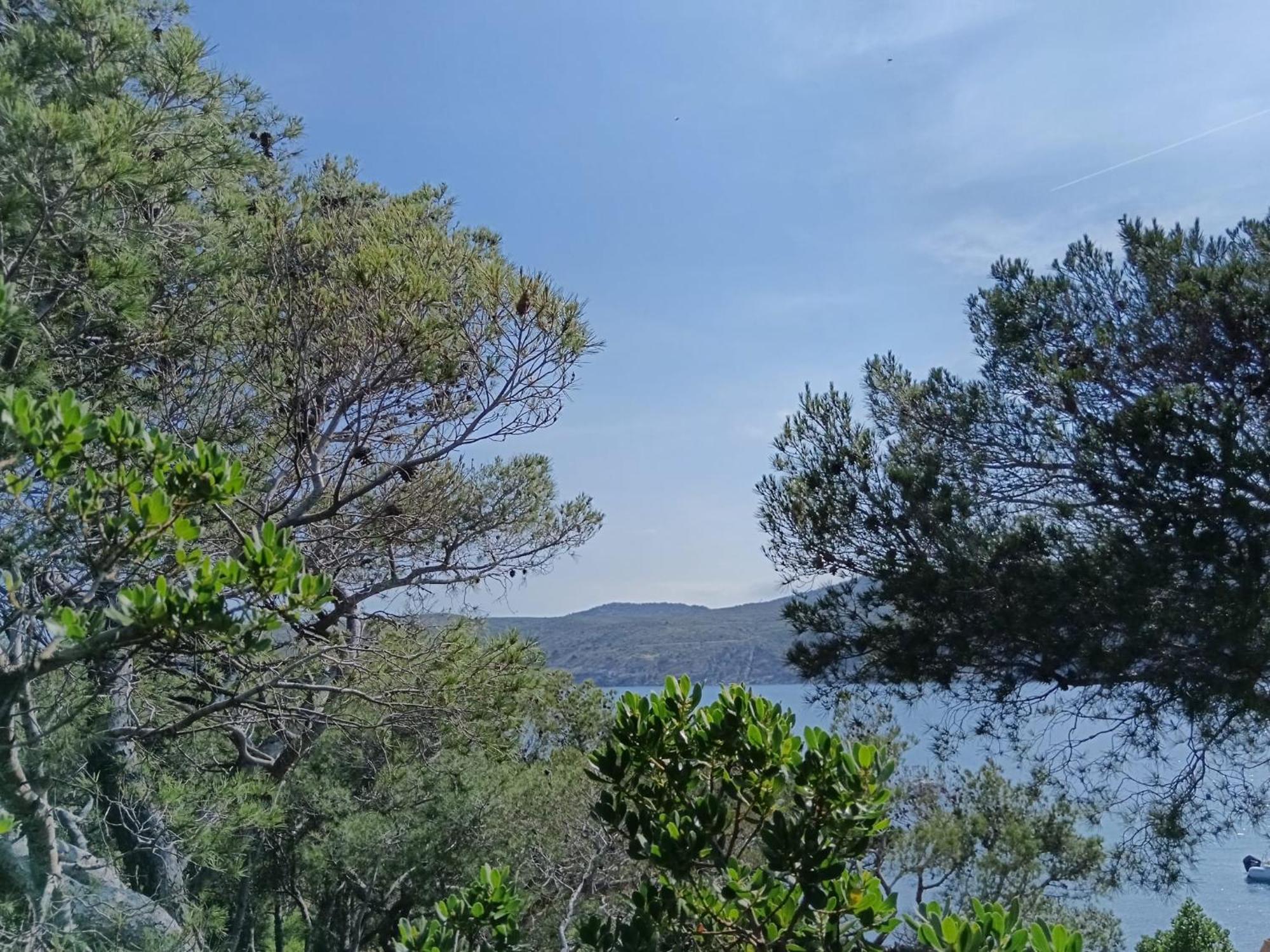 Isla Privada En Cadaques De Ensueno Con 11 Habitaciones Dobles Con Bano Privado Y Piscina المظهر الخارجي الصورة